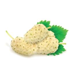 Mulberry My Flavor Mulberry My Flavor